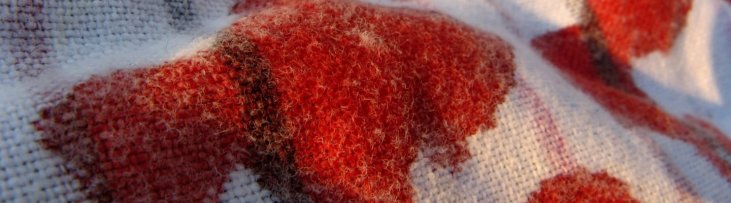 Cómo quitar manchas de sangre | Soluciones para la ropa